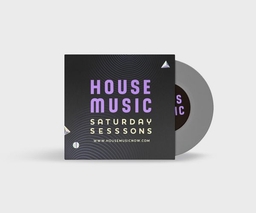 Vinyl Record Sleeves